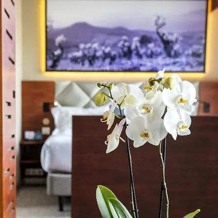 Hotel Thalazur Ile Rousse - Hôtel&spa Bandol